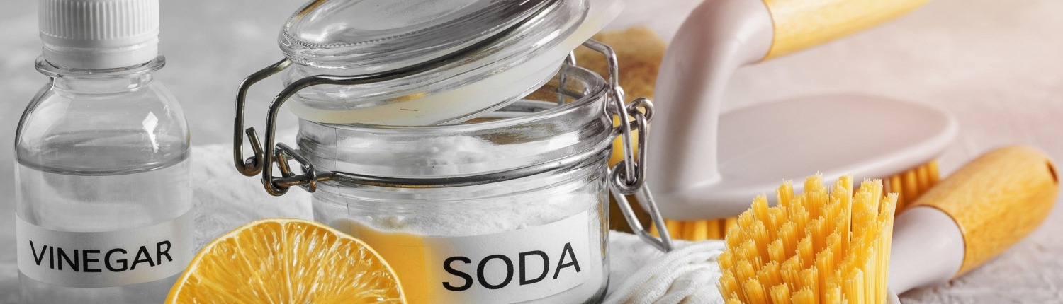 eco friendly cleaning brushes lemon baking soda cleaning chemicals