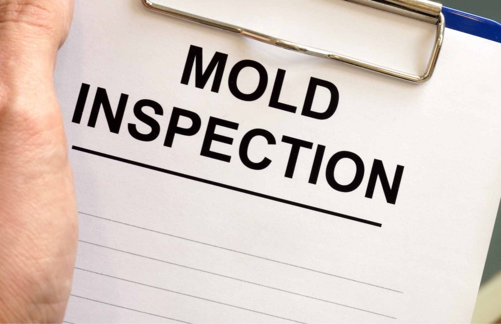 Clipboard that says "mold inspection"