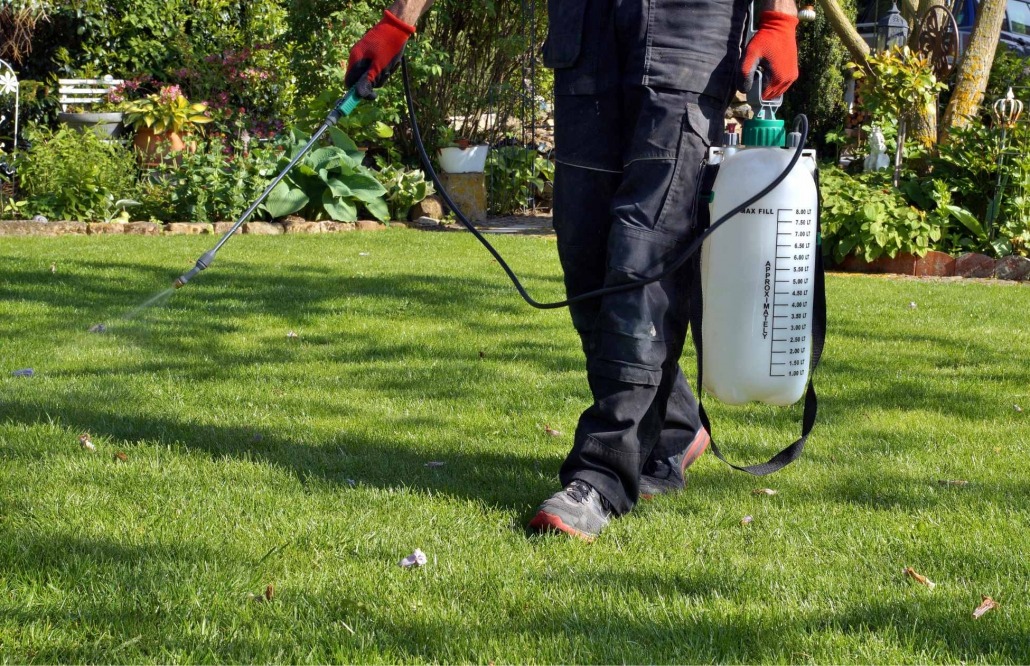 "Person using pesticide in the garden, highlighting the importance of reducing pesticide use through weed management