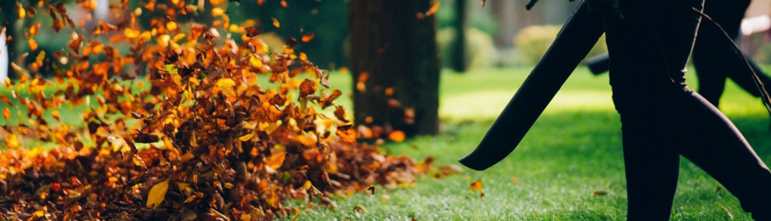 person using leaf blower to move leaves in yard