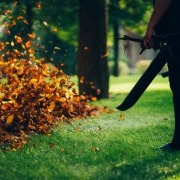 person using leaf blower to move leaves in yard