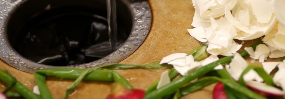 eggshells and vegetable scraps laying next to garbage disposal in kitchen sink