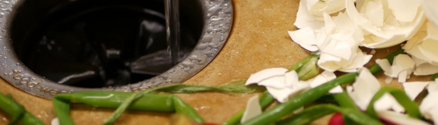 eggshells and vegetable scraps laying next to garbage disposal in kitchen sink