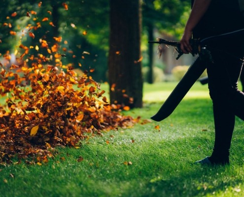 person using leaf blower to move leaves in yard