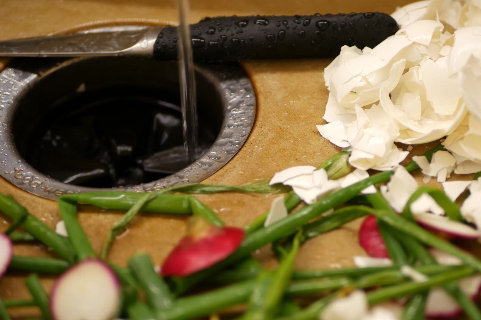 eggshells and vegetable scraps laying next to garbage disposal in kitchen sink